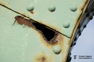 20180415_IMG_1053_Bremerhaven