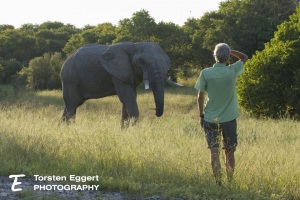 04_20220331_X8A9956_Elefant_Ilona