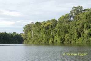 01_171219_DSC1437_Urwald