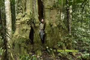 03_171219_DSC1407_Urwald