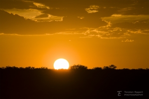 12_Etosha_X8A6206_SoU