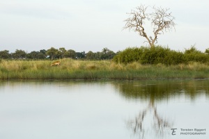 01_Kwando_X8A7156_Boekli