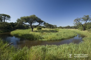 01_20220402_MG_2814_KwhaiRiver