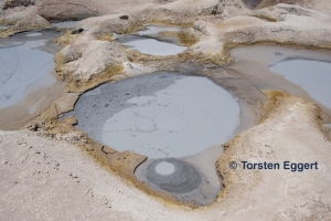 171102_DSC1165_Sol_de_Manana