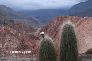 171106_DSC1446_Purmamarca