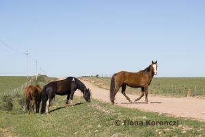 04_DSC0114_N_Uruguay