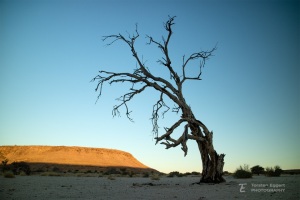 04_IMG_5454_NN