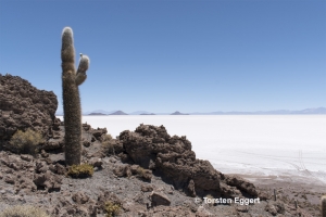 2_171027_DSC0734_Uyuni