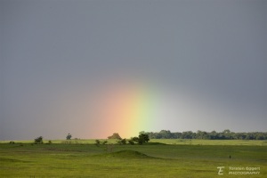 01_20220120_X8A7602_Regenbogen