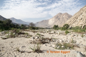 01_180102_DSC1862_Chasquitambo