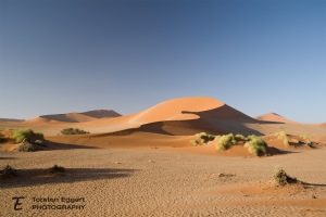 02_MG_1427__sossuvlei_1080