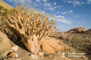 04_20211201_X8A4225_Spitzkoppe