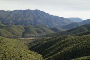 02_20220510_IMG_9283_Matjiesvlei