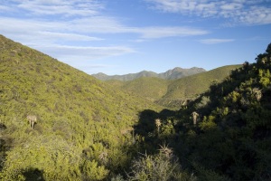 03_20220510_MG_3147_Matjiesvlei