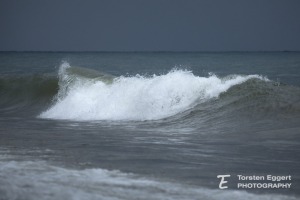 04_20220129_X8A7916_Sturm