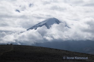 05_180203_DSC2425_Chimborazo